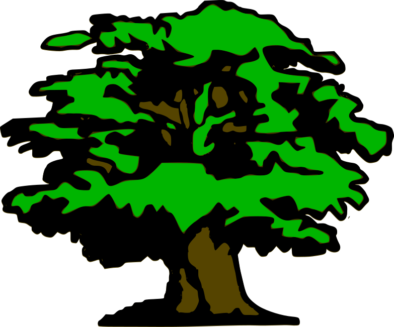 Woodland TreeWorks LLC