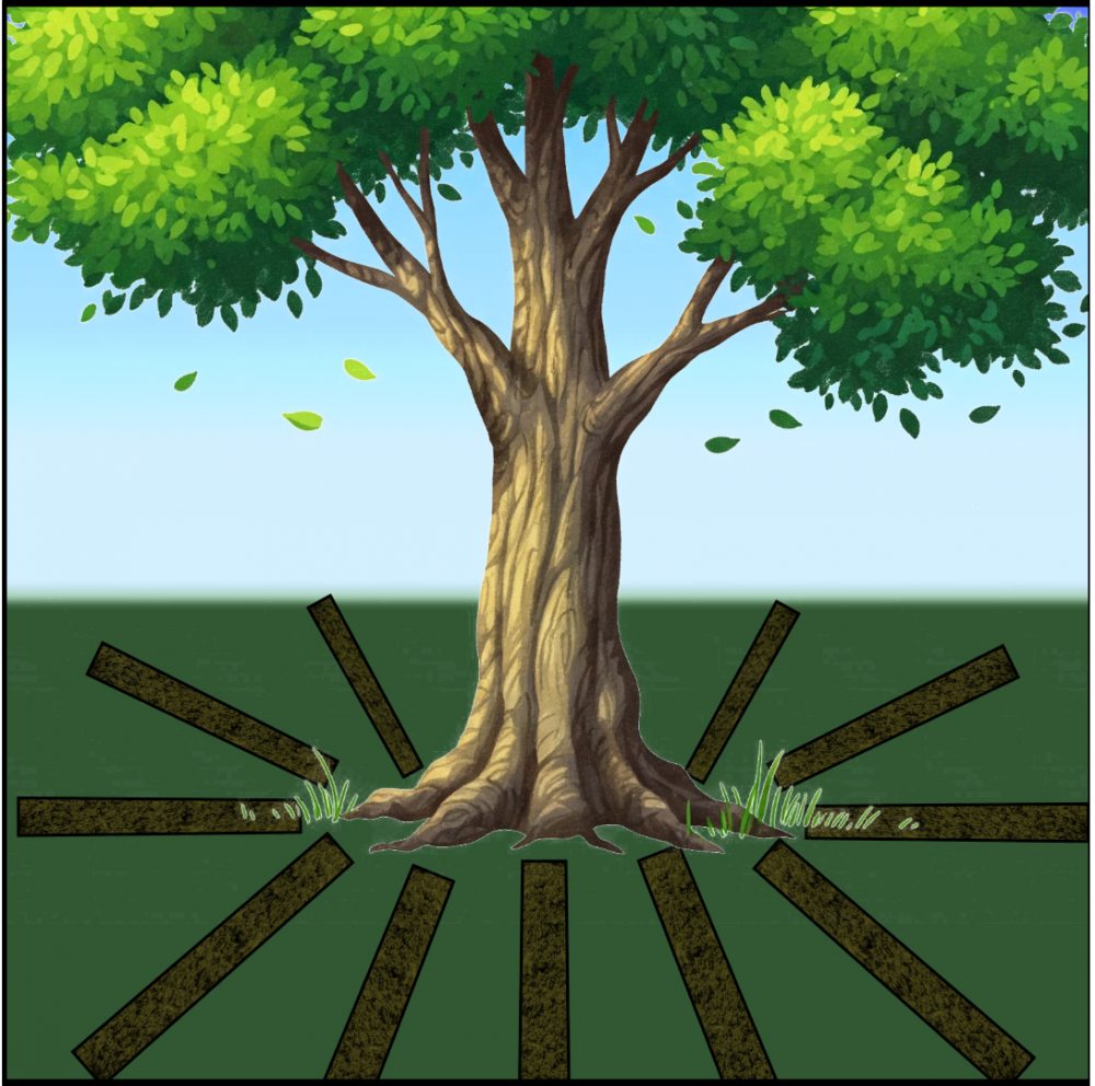 Tree Root Remediation - Woodland TreeWorks LLC